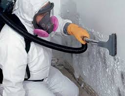 Why You Should Choose Our Mold Remediation Services in Placeholder8